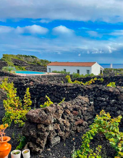 Insula Vinus - Alojamento - Pico - Azores