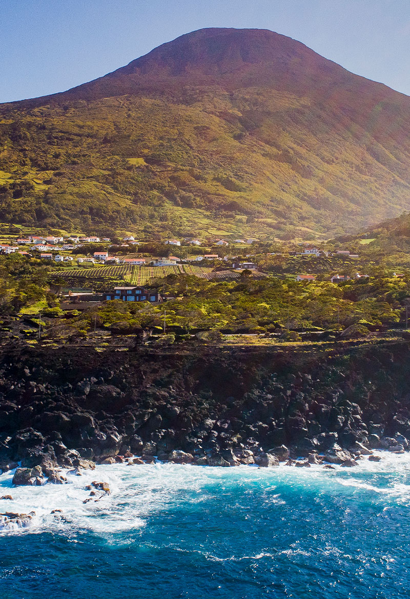 Insula Vinus - Vinhas - Pico - Azores