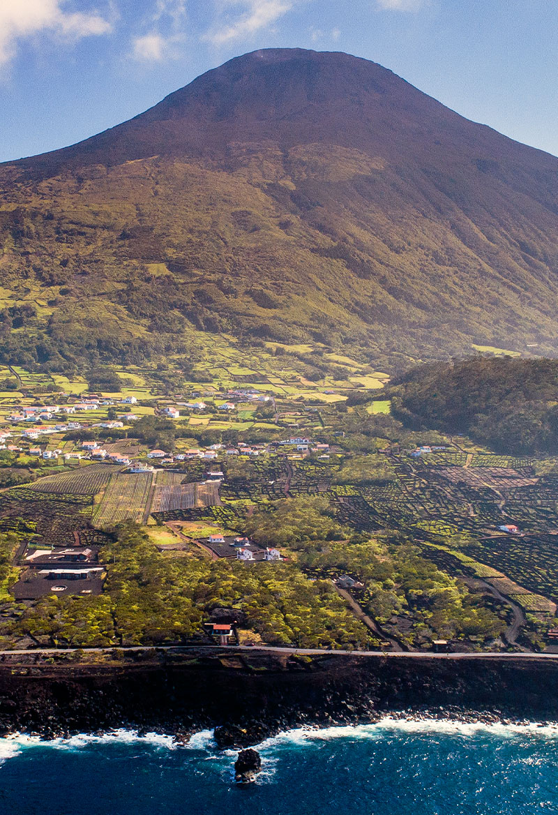 Insula Vinus - Vinhas - Pico - Azores