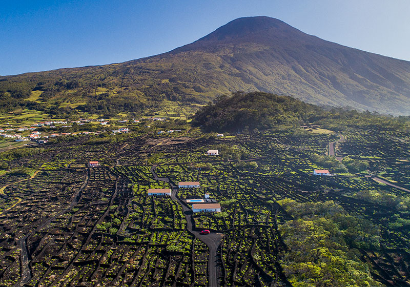 Insula Vinus - Alojamento - Pico - Azores