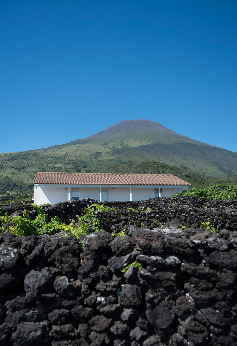 Apartamentos Insula Vinus - Alojamento - Pico - Azores
